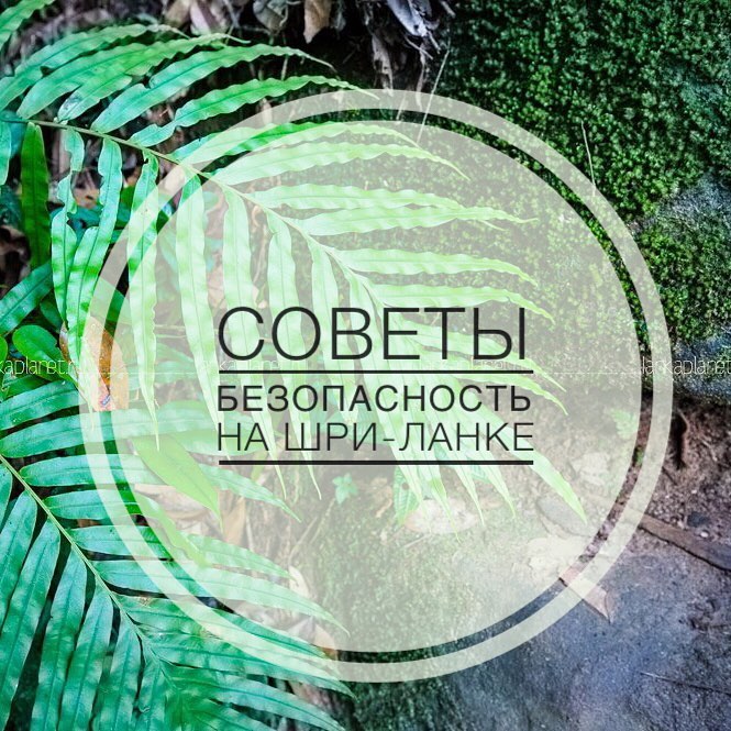 Опасно ли на Шри-Ланке?! Советы по безопасности на острове