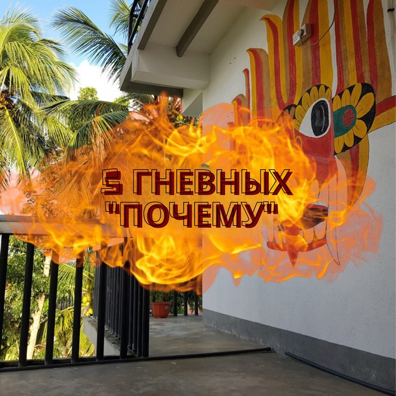 Почему мы не показываем жилье на месте