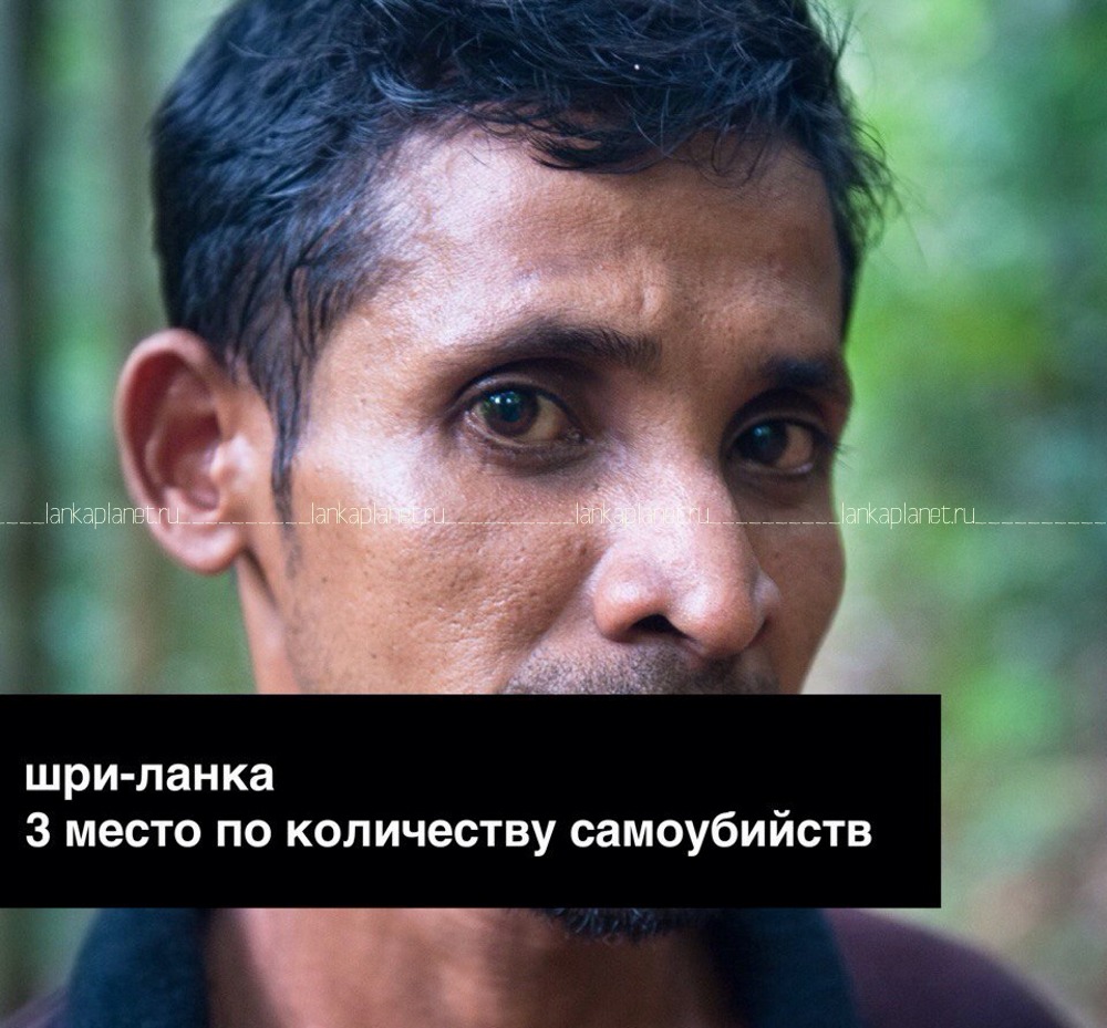 ланкиец, гид в лесу синхараджа, самоубийства